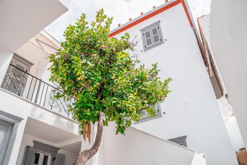Lemon Tree - Hydra Dream Houses Exteriör bild